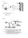 Fig. 02 - Fluorogenic Peptide Probes and Assays