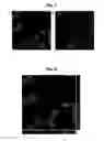 Fig. 05 - Biocompatible nanoparticles with aggregation induced emission characteristics as fluorescent bioprobes and methods of using the same for in vitro and in vivo imaging