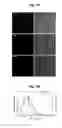 Fig. 12 - Biocompatible nanoparticles with aggregation induced emission characteristics as fluorescent bioprobes and methods of using the same for in vitro and in vivo imaging