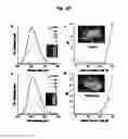 Fig. 15 - Biocompatible nanoparticles with aggregation induced emission characteristics as fluorescent bioprobes and methods of using the same for in vitro and in vivo imaging