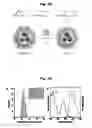Fig. 16 - Biocompatible nanoparticles with aggregation induced emission characteristics as fluorescent bioprobes and methods of using the same for in vitro and in vivo imaging