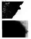 Fig. 09 - Iron oxide nanocapsule, method of manufacturing the same, and MRI contrast agent using the same