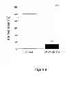 Fig. 10 - Use of 2,5-dihydroxybenzene derivatives for treating dermatitis