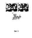 Fig. 11 - Use of 2,5-dihydroxybenzene derivatives for treating dermatitis