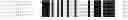 Fig. 13 - Accumulation of metabolic products in bacterial microcompartments