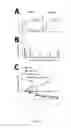Fig. 04 - Method for treating or preventing graft versus host disease
