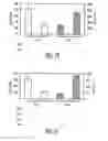 Fig. 03 - Mesenchymal Stem Cells and Uses Therefor