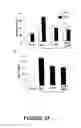 Fig. 28 - CELL-BASED THERAPY FOR THE PULMONARY SYSTEM