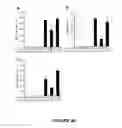 Fig. 41 - CELL-BASED THERAPY FOR THE PULMONARY SYSTEM