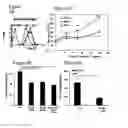 Fig. 08 - Diagnostic and therapeutic methods and their application in amyotrophic lateral sclerosis (ALS)
