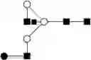 Fig. 49 - Diagnostic and therapeutic methods and their application in amyotrophic lateral sclerosis (ALS)