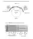 Fig. 05 - AGR2 blocking antibody and use thereof