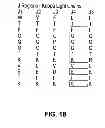 Fig. 22 - Anti-integrin β1 antibody compositions and methods of use thereof
