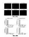 Fig. 32 - Anti-integrin β1 antibody compositions and methods of use thereof