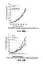 Fig. 35 - Anti-integrin β1 antibody compositions and methods of use thereof
