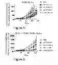 Fig. 06 - HER2/neu-specific antibodies and methods of using the same