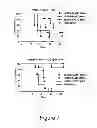 Fig. 07 - HER2/neu-specific antibodies and methods of using the same