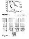 Fig. 08 - HER2/neu-specific antibodies and methods of using the same