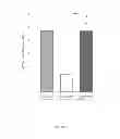 Fig. 06 - Methods for increasing thermogenic adipocytes