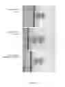 Fig. 11 - Methods for increasing thermogenic adipocytes