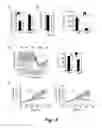 Fig. 09 - MITIGATION OF DISEASE BY INHIBITION OF GALECTIN-12