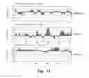 Fig. 14 - MITIGATION OF DISEASE BY INHIBITION OF GALECTIN-12