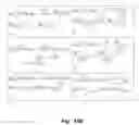 Fig. 17 - MITIGATION OF DISEASE BY INHIBITION OF GALECTIN-12