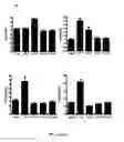 Fig. 04 - IMMUNOGENIC GLUTEN PEPTIDES AND USES THEREOF