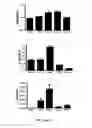 Fig. 06 - IMMUNOGENIC GLUTEN PEPTIDES AND USES THEREOF