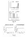 Fig. 22 - Lin28-mediated control of let-7 biogenesis