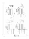 Fig. 30 - Lin28-mediated control of let-7 biogenesis