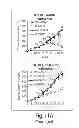 Fig. 33 - Lin28-mediated control of let-7 biogenesis