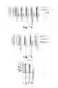 Fig. 34 - Lin28-mediated control of let-7 biogenesis