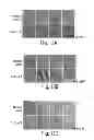 Fig. 40 - Lin28-mediated control of let-7 biogenesis