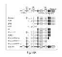 Fig. 41 - Lin28-mediated control of let-7 biogenesis