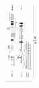 Fig. 46 - Lin28-mediated control of let-7 biogenesis