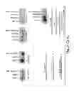 Fig. 53 - Lin28-mediated control of let-7 biogenesis