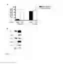 Fig. 12 - Induction of differential stress resistance and uses thereof