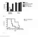 Fig. 13 - Induction of differential stress resistance and uses thereof