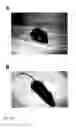 Fig. 14 - Induction of differential stress resistance and uses thereof
