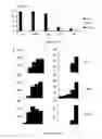 Fig. 02 - METHODS AND PHARMACEUTICAL COMPOSITIONS FOR REDUCING AIRWAY HYPERRESPONSE