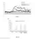 Fig. 07 - METHODS AND PHARMACEUTICAL COMPOSITIONS FOR REDUCING AIRWAY HYPERRESPONSE