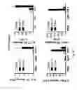 Fig. 28 - Immune modulation via C-type lectin