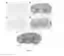 Fig. 09 - Peptide-mediated non-covalent delivery of active agents across the blood-brain barrier