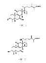 Fig. 02 - Method of preparing an extract of having an elevated antcin C and zhankuic C content