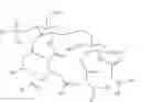 Fig. 20 - SYNTHETIC DERIVATIVES OF MPL AND USES THEREOF
