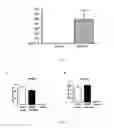 Fig. 03 - PROBIOTIC BIFIDOBACTERIUM STRAINS