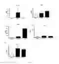 Fig. 05 - PROBIOTIC BIFIDOBACTERIUM STRAINS