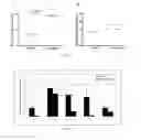Fig. 07 - PROBIOTIC BIFIDOBACTERIUM STRAINS