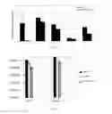Fig. 08 - PROBIOTIC BIFIDOBACTERIUM STRAINS